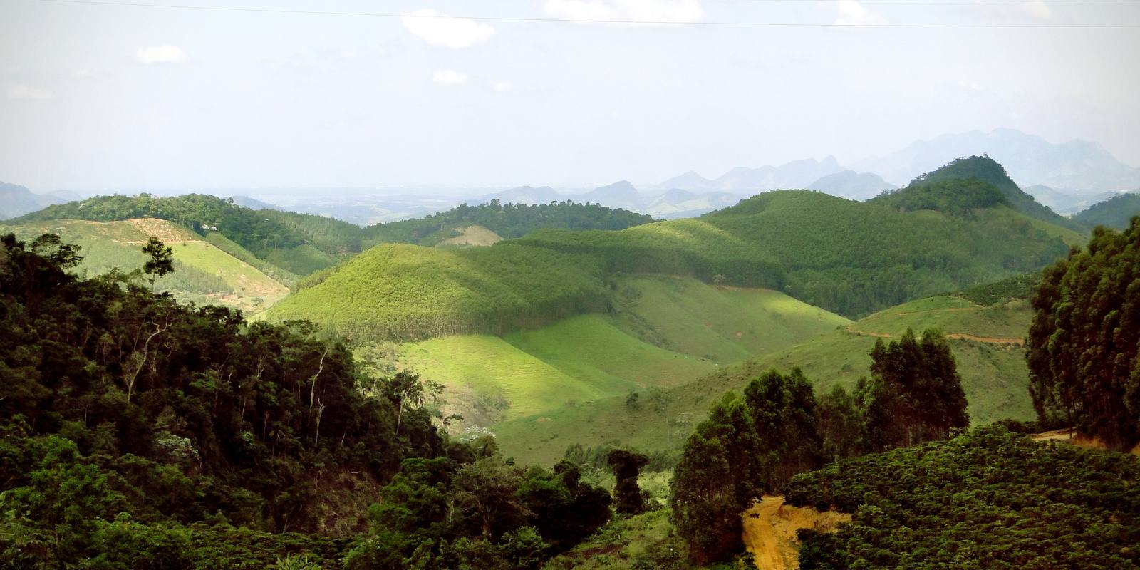 Colinas verdes de Ibiraçu, no interior do Espírito Santo, com plantação de café, eucaliptos, mata fechada e uma estrada de terra serpenteando entre os morros